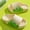 White, variant on Kids' Cute Crocodile Slides, Quick-dry Slippers for Beach, Pool and Home Yellow 24