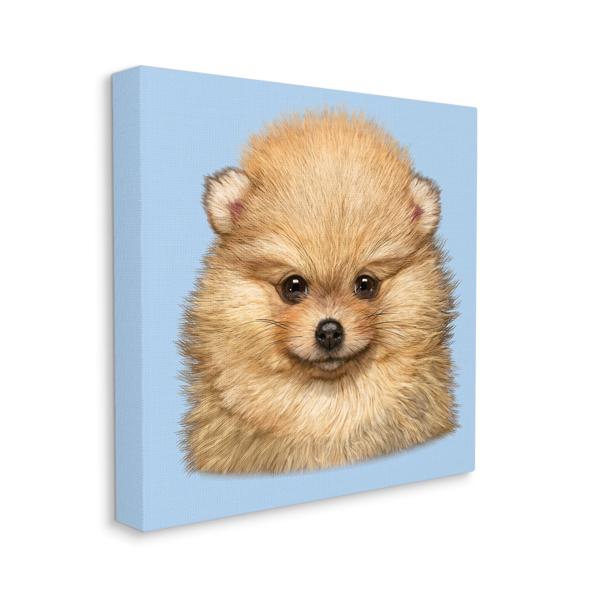 Stupell Industries Pomeranian Face on Blue Animals & Insects Painting Gallery Wrapped Canvas Art Print Wall Art, 17 x 17