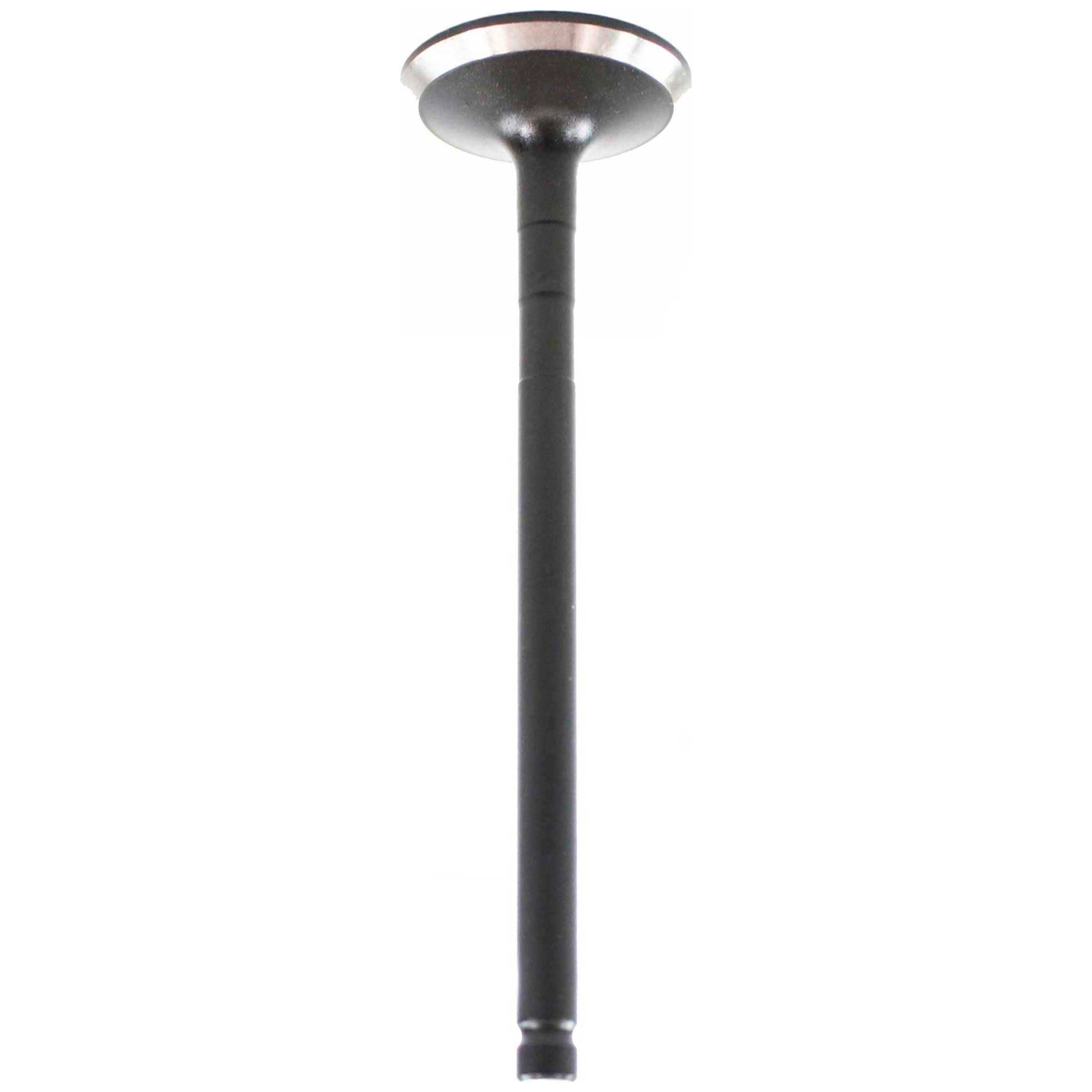 DNJ EV939 Exhaust Valve Fits Cars & Trucks 91-04 Toyota 2.4L DOHC 16V