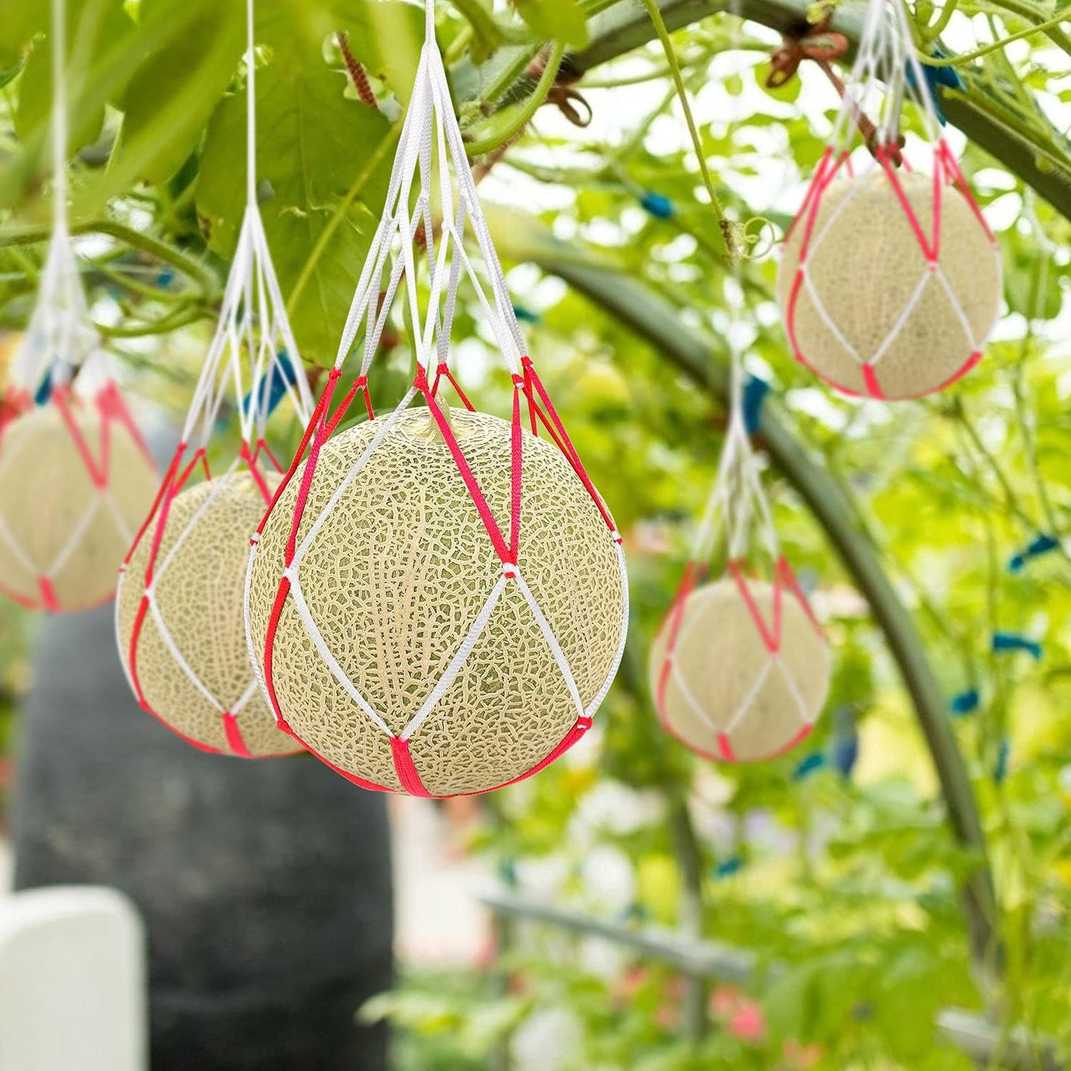 NANAHuang 20Pcs Melon Hammocks Cradles, Melon Hammock for Trellis Heavy Duty Watermelon Nets, Pumpkin Support Hanging Bags for Growing Cantaloupes Honeydew, 16inches Long, Bear for 30lbs