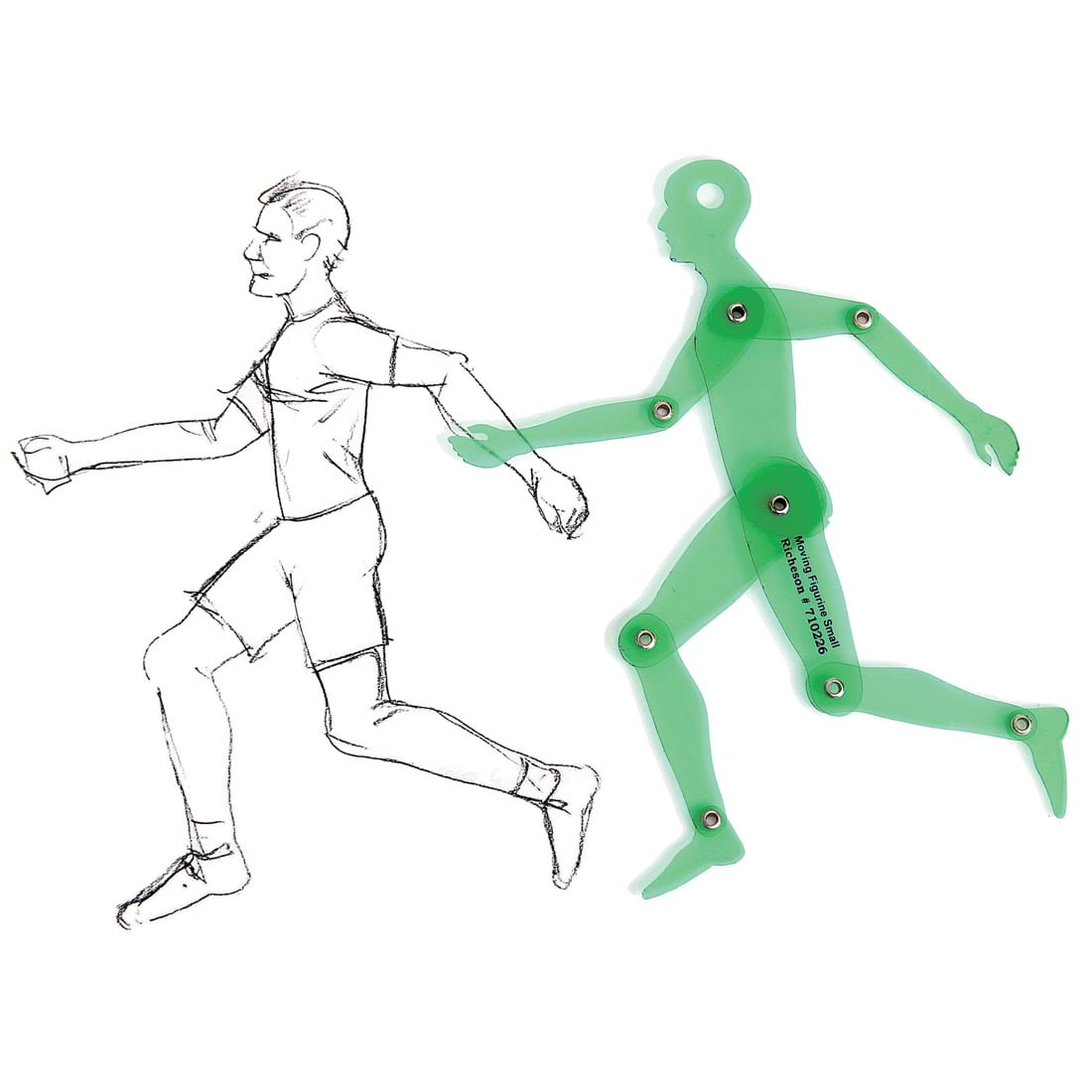 Jack Richeson Human Figure Positioning Template, 6-3/4 in, Green