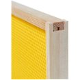 thumbnail image 4 of Marcos para abejas BeeCastle, paquete de 40 con lámina de cera, 16 cm, 4 of 5