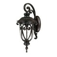 thumbnail image 2 of Acclaim 2112MM Naples Collection 1-Light Wall Mount Outdoor Light Fixture Marbleized Mahogany, 2 of 2
