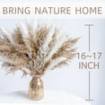 thumbnail image 3 of Pampas Grass Decor dreid Flowers Fluffy pompas Grass vase Filler White Pampas Wedding Boho deocr, 3 of 6