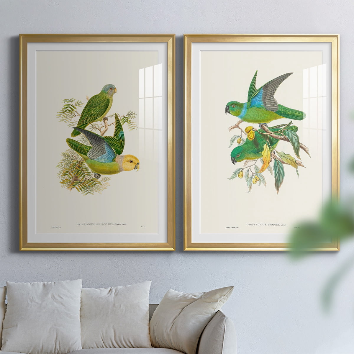 Wexford Home Lime & Cerulean Parrots I Premium Framed Print, 18.5" x 24.5" - Ready to Hang, Gold (Set of 2)