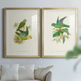 thumbnail image 6 of Wexford Home Lime & Cerulean Parrots I Premium Framed Print, 22.5" x 30.5" - Ready to Hang, Gold (Set of 2), 6 of 9