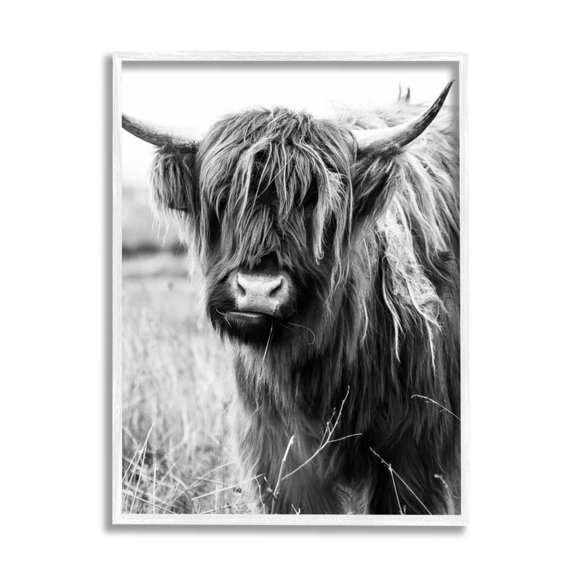 Stupell Industries Closeup Longhorn Cattle Grazing Monochrome Photography Framed Wall Art, 16 x 20, Design by Amy Brinkman