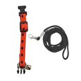 thumbnail image 1 of Adjustable Pet Leash Adjustable Reptile Traction Rope Collar Set for Outdoor Adventures Lizard Leash, 1 of 8