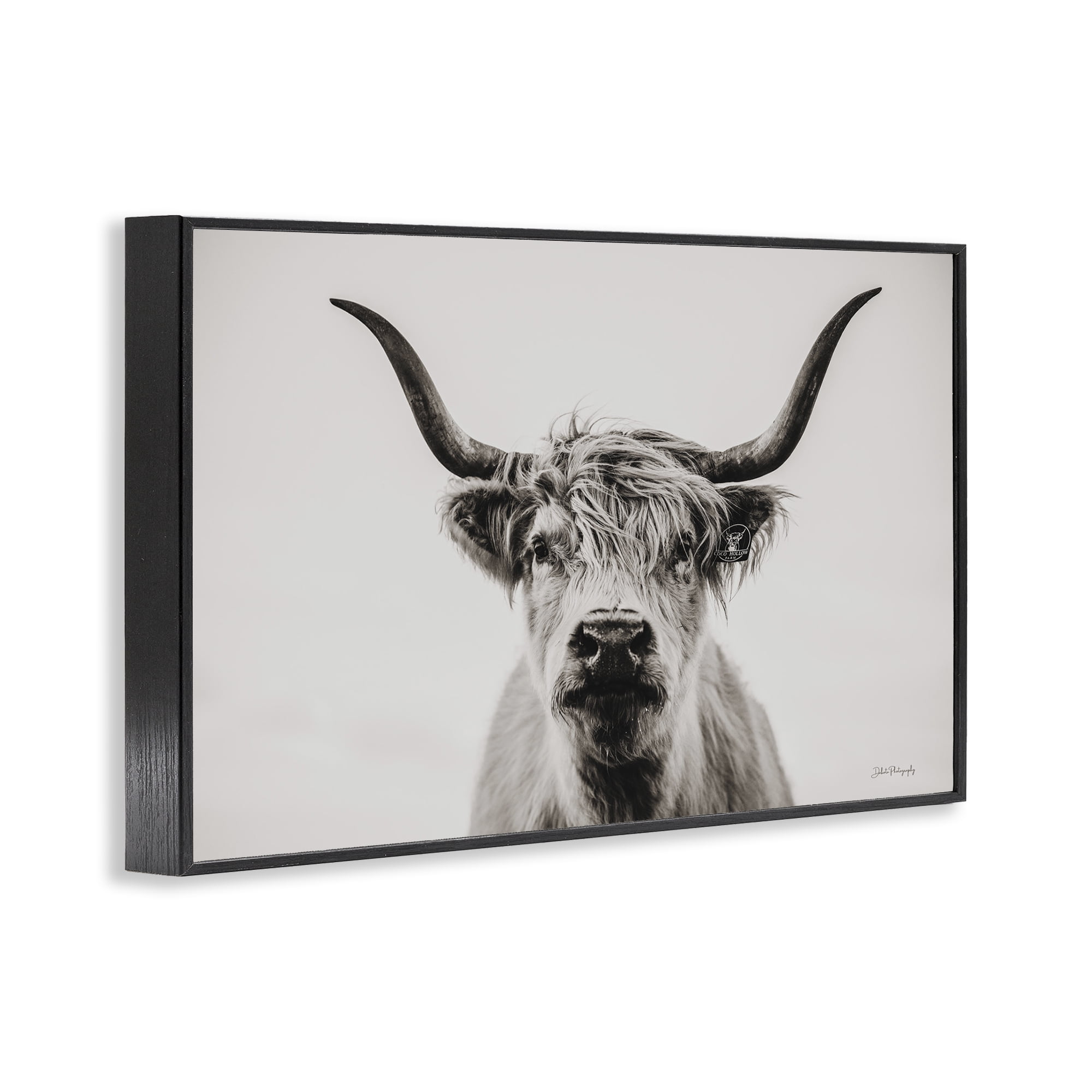 Stupell Industries Calm Cattle Portrait Animals & Insects Photography Black Framed Art Print Wall Art, 30 x 20