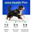thumbnail image 5 of BARK&SPARK Senior Advanced Glucosamine Chews for Dogs - Premium Dog Supplements for Hip and Joint with Chondroitin, MSM & Omega-3 - Hip Joint Pain Relief Pills - 120 Treats, 5 of 9