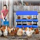 thumbnail image 3 of 8-hole metal chicken nesting boxes con legs - two mounting options para egg laying, roll-away egg design, grande ventilation holes, y easy to clean, 3 of 5