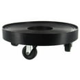 thumbnail image 1 of 12 Po. Plante Noire Dolly - Lot de 8, 1 of 1