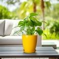 thumbnail image 3 of EPFamily 8 Inch Yellow Ceramic Planter with Drainage Hole and Saucer – Modern Flower Pot for Indoor Plants, Snake Plants, Herbs, 3 of 8