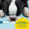 thumbnail image 5 of RADIUS USDA Organic Canine Toothpaste, Sweet Potato Cinnamon Flavor, 3 oz Pet Dental Care, 5 of 13