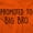 Orange, variant on Promoted to Big Brother Announcement Youth T Shirt Tee Boys Infant Toddler Brisco Brands 2T