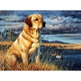 thumbnail image 2 of Pintura al óleo de perro por números, lienzo acrílico artesanal pintado a mano (WH-1228) Likrtyny Oficina Multiescena Multifunción, 2 of 9
