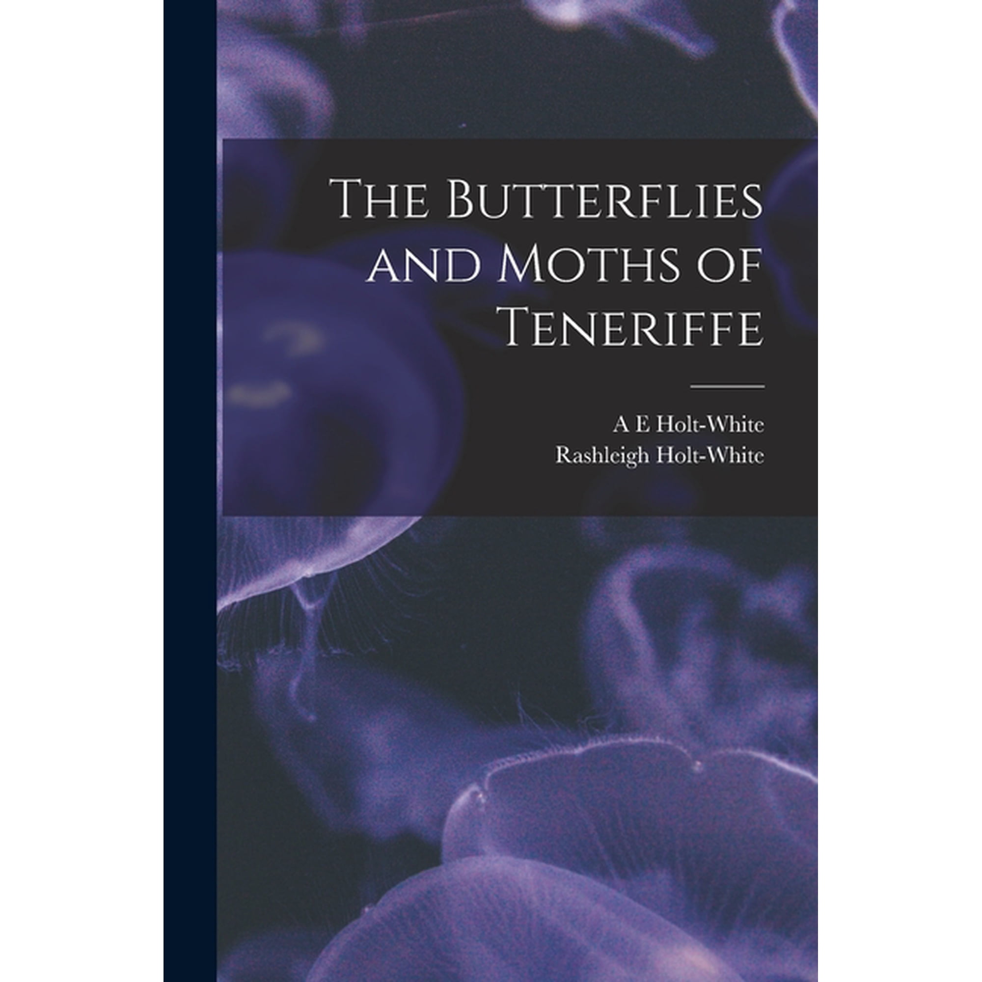 The Butterflies and Moths of Teneriffe (Paperback)
