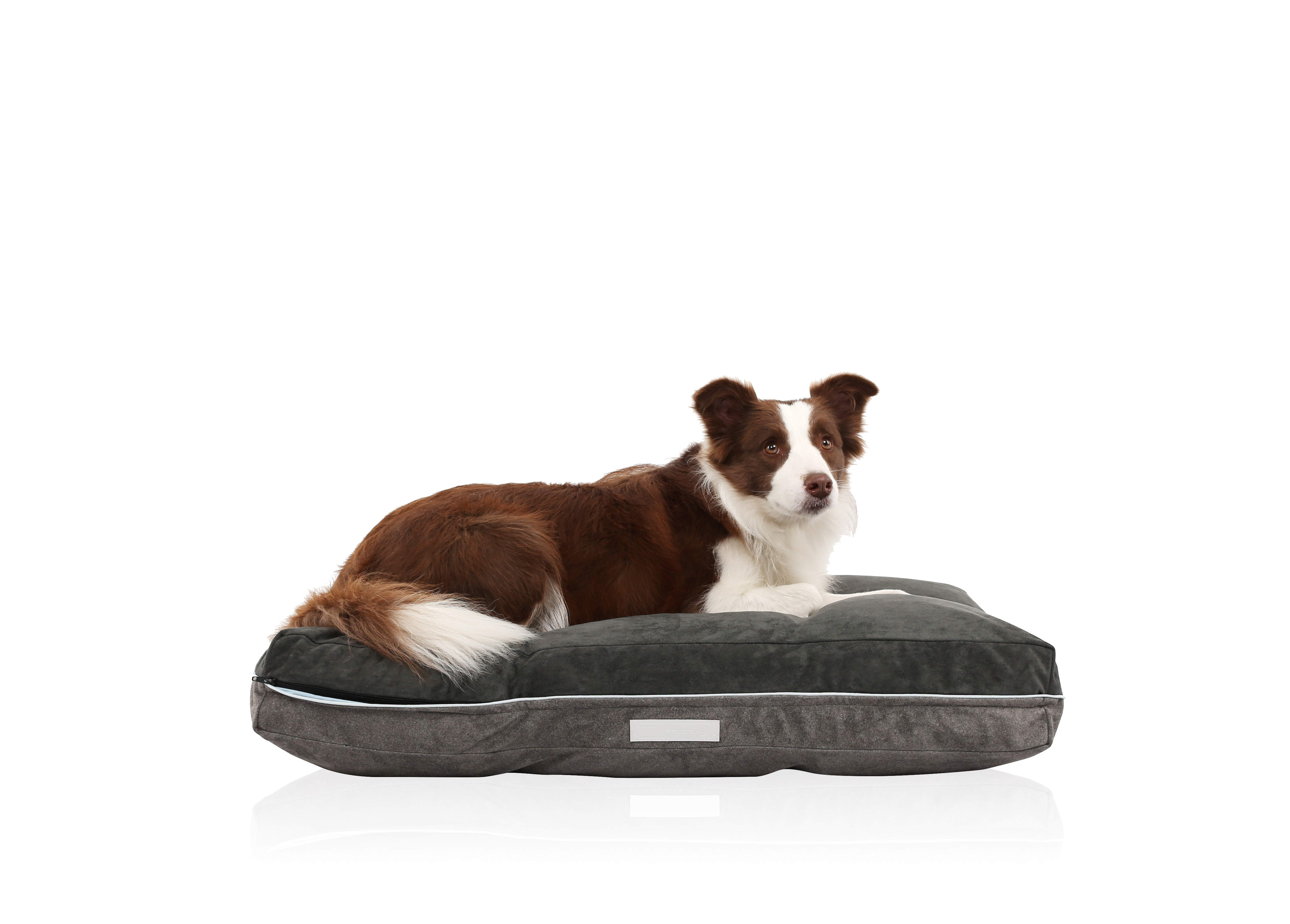 LaiFug Doublesided Comfortable Memory Foam Pet/Dog Bed(Medium36"x25"x5