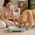 thumbnail image 7 of Double Bowl Pet Feeder 350ml Each Stays in Place for Cats and Small Dogs, Tilted Height Neck Care Removable Bowls, Stable Easy Clean Daily Feeding Station Indoor Gift, 7 of 7