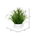 thumbnail image 2 of Vickerman 21" Cream Potted Cosmos Grass - FV190421, 2 of 2
