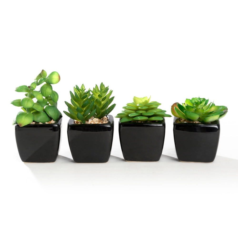 K-Cliffs Set of 4 Mini Artificial Succulents Potted in Cube-Shape Black Ceramic Pots , Dimensions(in inches):  11.0L x 3.0W x 4.3H"