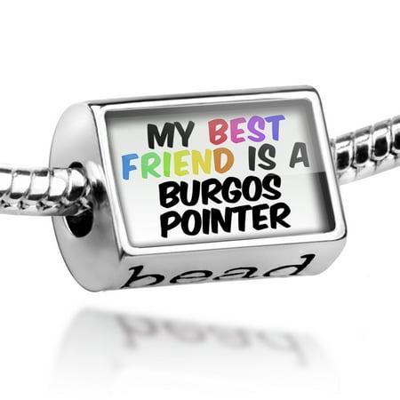 Bead My best Friend a Burgos Pointer Dog from Spain Charm Fits All European