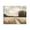 Wildflower Meadow Pathway Landscape, variant on Stupell Industries Traditional Journey Through Wildflowers in Meadow Canvas Art, 20 x 16, by Creative Studio