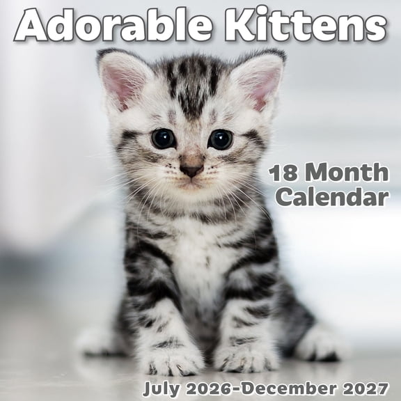 EcoEarth 18-Month Vertical Wall Calendar, Adorable Kittens, 11" x 17" Open, 2026 - 2027