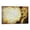 Frame-style, variant on Alexander Hamilton Portray Poster Gifts Canvas Painting Poster Wall Art Decorative Picture Prints Modern Decor 20x30inch(50x75cm)