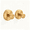 Gold, variant on 2-Pack Wall-Mounted Stainless Steel Suction Cup Hooks, Strong Adhesion for Bathroom Towels & Kitchen Sundries