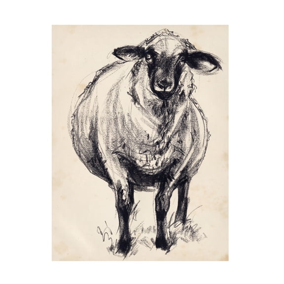 Jennifer Paxton Parker 'Charcoal Sheep II' Canvas Art