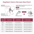 thumbnail image 5 of BELLA & PAL Puppy Harness and Leash Set,Reflective Adjustable Dog Harness for Small Dogs No Pull,Step in Soft Mesh Harness for Small and Medium Dogs,Pink Leopard,S, 5 of 6