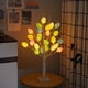thumbnail image 3 of Batería única (luz de árbol pequeño de huevo de Pascua 24LED de 60 cm de alto) Luz de árbol pequeño de Pascua, 3 of 14
