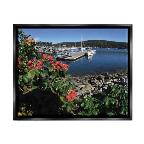 Stupell Industries Boat Harbor Photography Nature Photography Black Floater Framed Art Print Wall Art, 21 x 17