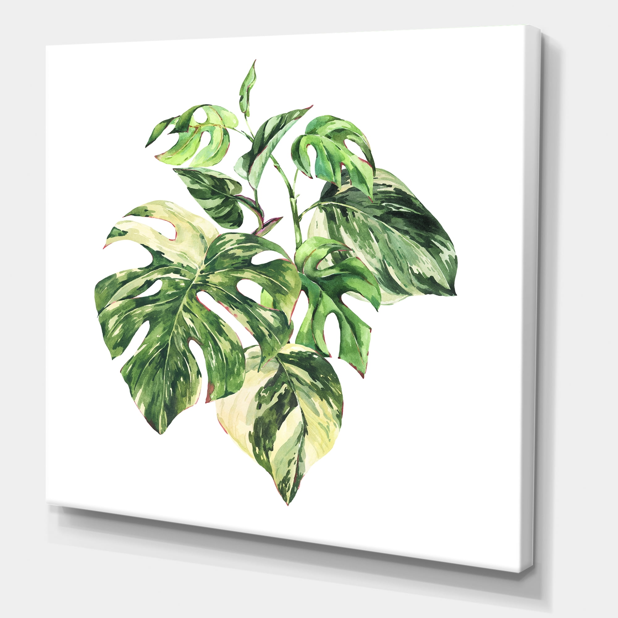 Designart ' Tropical Green Leaves On White In Summer Times I ' Tropical Canvas Wall Art Print