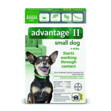 Advantage II Topical Flea Treatment for Small Dogs, 6 Monthly Treatments