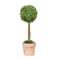 thumbnail image 1 of Planta en Maceta Bearachild Decoración Realista FY118-Bebé Lágrima Verde, 1 of 6