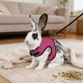 thumbnail image 4 of Rewenti Mesh Bunny Walking Set with Leash Breathable Bright and Attractive Color for Rabbits Weighing Approx 3Kg, 4 of 5