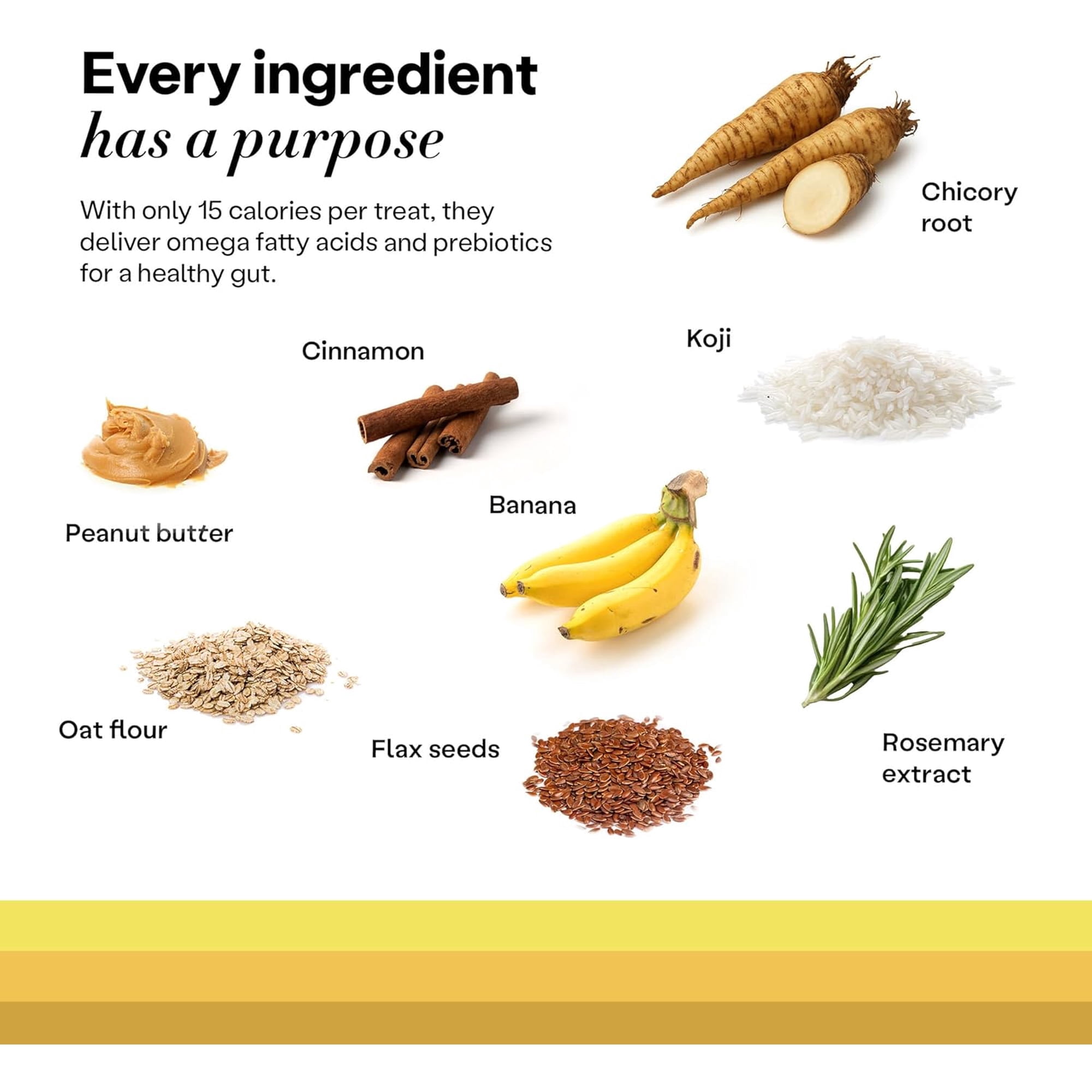 Wild Earth Superfood Dog Treats, Plant Based Dog Treats with Omega Acids, Prebiotics & Koji Protein, No Fillers, Veterinarian-Developed, Banana & Cinnamon Flavor 3 Pack