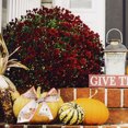 thumbnail image 4 of 4 Rolls Thanksgiving Wired Ribbons Fall Theme Decorative Ribbons DIY Gift Box Ribbons, 4 of 6