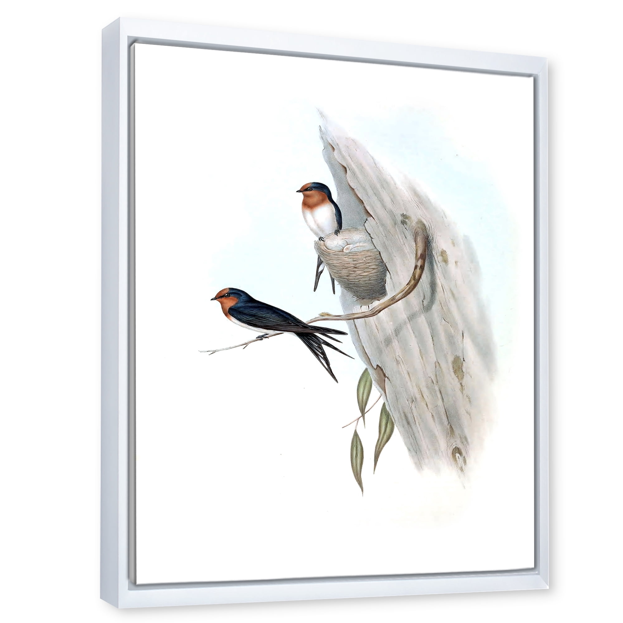 Ancient Australian Bird Illustrations II 24 in x 32 in Framed Painting Canvas Art Print, by Designart