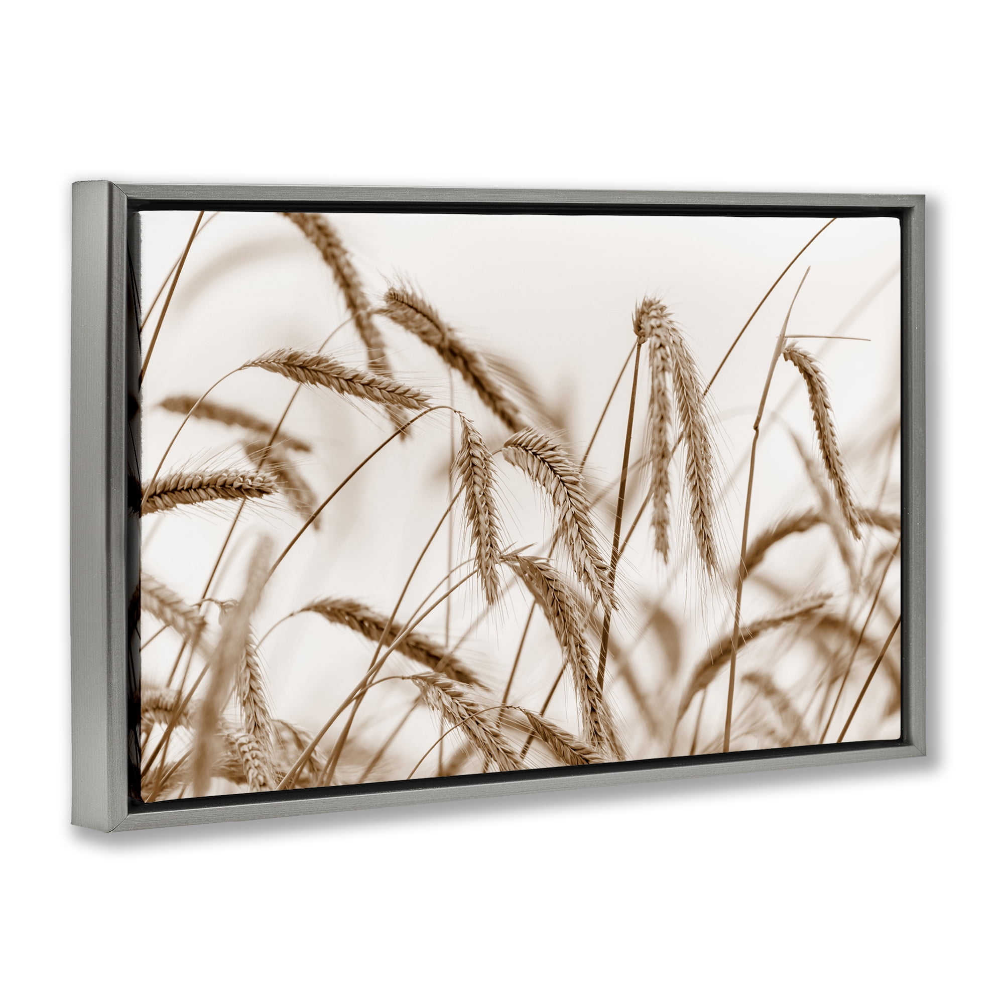 Stupell Industries Windswept Wheat Sprigs Plants & Flowers Photography Gray Floater Framed Canvas Art Print Wall Art, 31 x 21