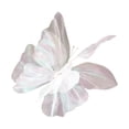 thumbnail image 2 of 3D Large Mesh Butterfly Decor, Outdoor Photography Props, Wedding & Garden Ornament for Home & Event Decor (White), 2 of 7