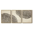 thumbnail image 2 of SHENIFY Farmhouse Vintage Abstract Drawings Rustic Modern Wall Art Set Gray Wood Tree Ring Spirals Nature Art Decor for Living Room Bedroom 11x14in3pcs Natural Framed, 2 of 5