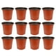 thumbnail image 1 of 50 macetas de plástico para flores, útiles para plantas suculentas., 1 of 7