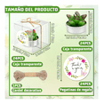 thumbnail image 3 of 24pcs Velas Cactus Aromaticas Suculento Decorativas Malubero Blanco, 3 of 4