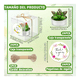 thumbnail image 3 of 24pcs Velas Cactus Aromaticas Suculento Decorativas Malubero Blanco, 3 of 4