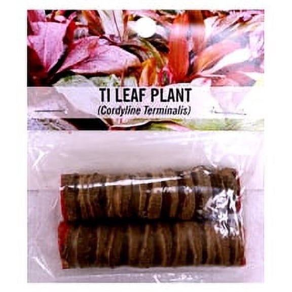Souvenir Plant Cutting-tilog