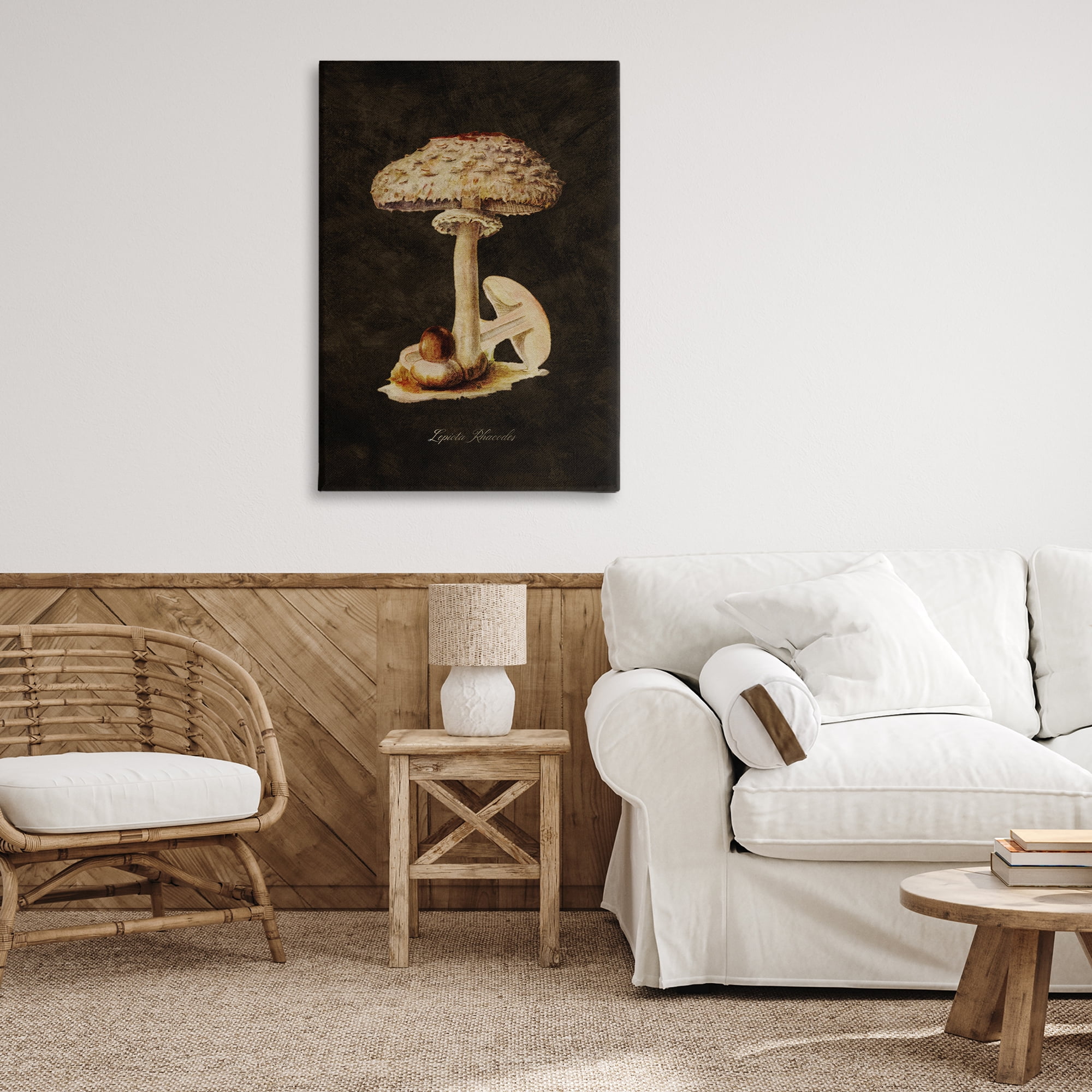 Stupell Industries Vintage Mushroom Study Plants & Flowers Painting Wrapped Canvas Art Print Wall Art, 24 x 36