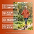 thumbnail image 2 of Clean Nutra Fisetin Quercetin Resveratrol Spermidine - Longevity Supplement with NAD Berberine Apigenin | Anti Aging Cellular Health Support Capsules 60 Count, 2 of 9